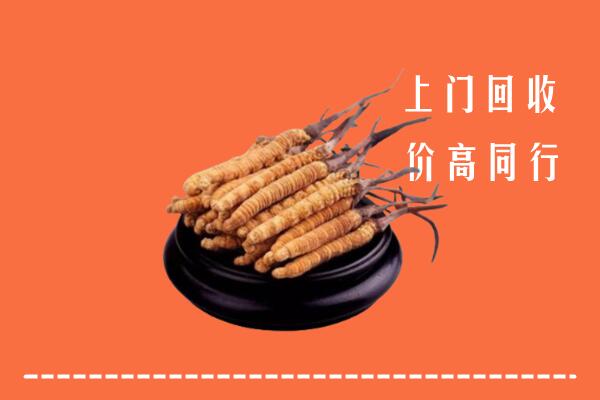 高价求购：太白县回收散虫草