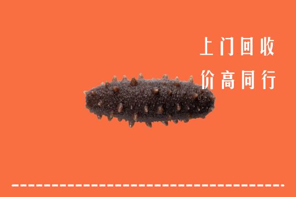 高价求购：太白县回收海参