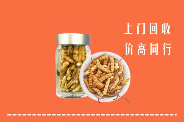 太白县回收冬虫夏草